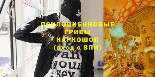 ешки Абаза