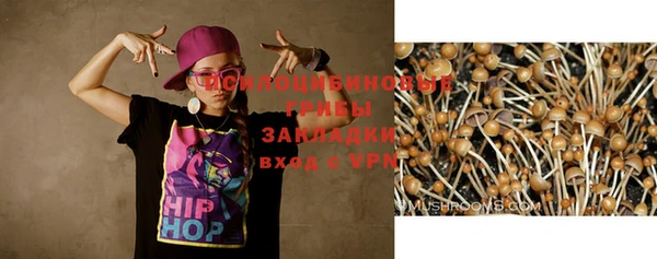 ешки Абаза